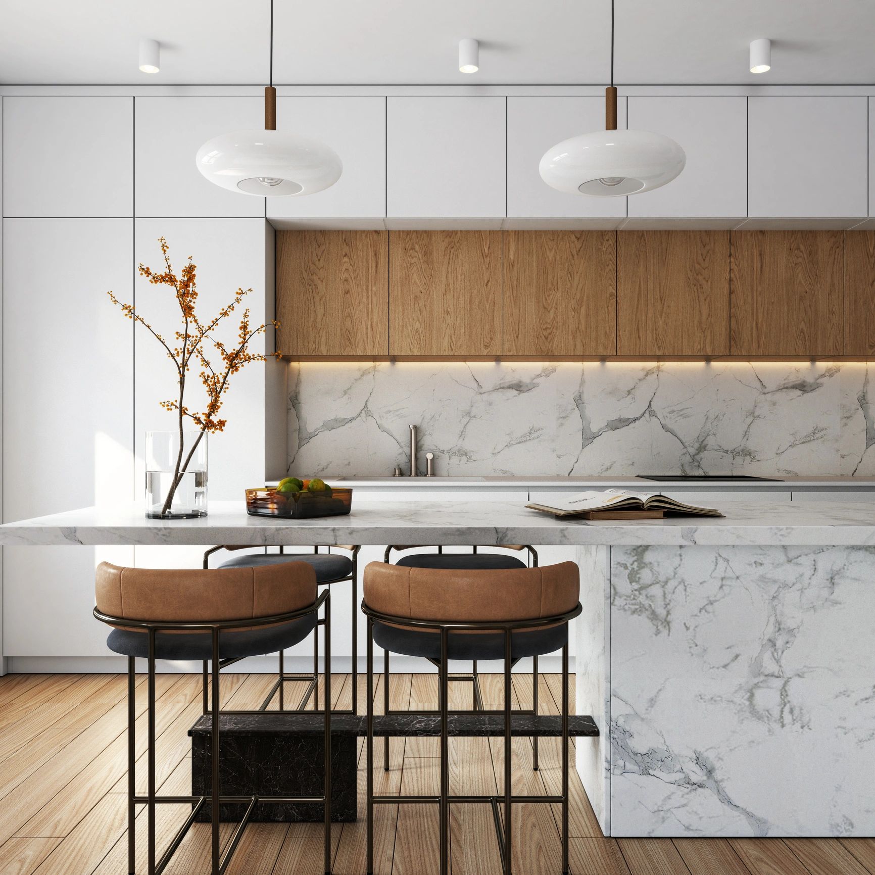 Contemporary Kitchen Renovation